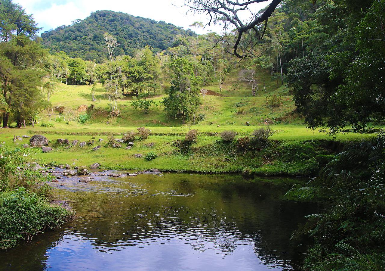 Hotel Refugio Ecologico Amadamata à Nova Friburgo Extérieur photo