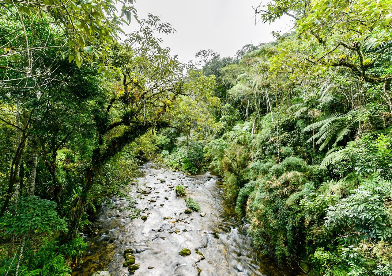 Hotel Refugio Ecologico Amadamata à Nova Friburgo Extérieur photo